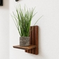 Single Shelf WIth Plant