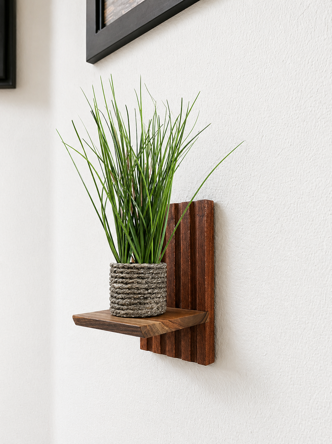 Single Shelf WIth Plant