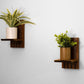 Example of Shelves Mount On Wall