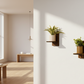 Mockup Showing Shelves In Luxury Home